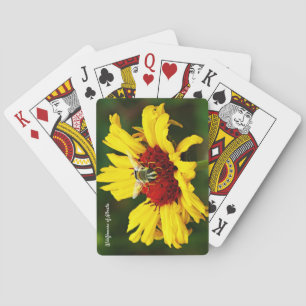 Cute Bee Rests on Bright Yellow Wildflower Playing Cards