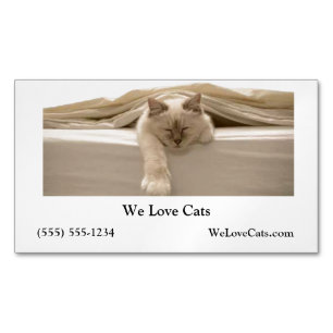 Cute Beige Cat Sleeping On Beige Bed Magnetic Business Card