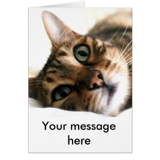 Cute Bengal Cat in Bed Custom Card