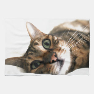Cute Bengal Cat in Bed Picture Kitchen Towel