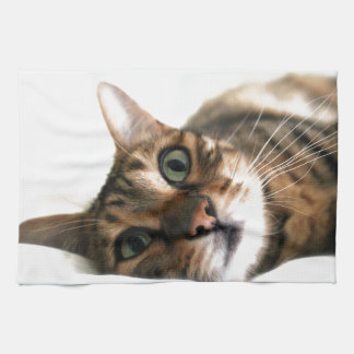 Cute Bengal Cat in Bed Picture Kitchen Towel