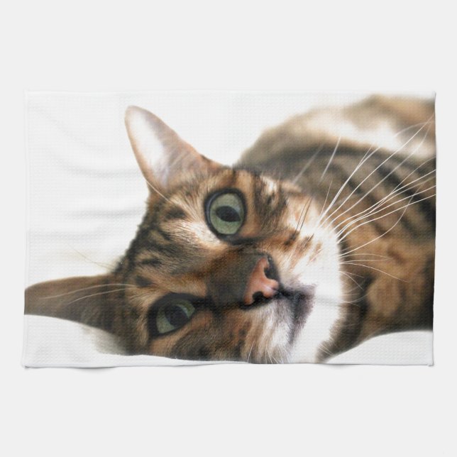 Cute Bengal Cat in Bed Picture Kitchen Towel (Horizontal)