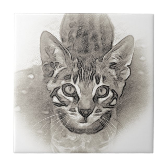 Cute Bengal Kitten Drawing Tile (Front)