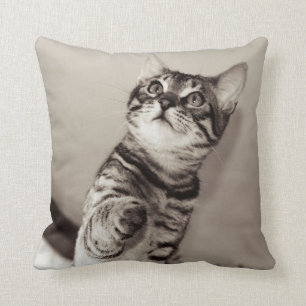 Cute Bengal Kitten Photo Throw Pillow