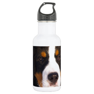 Cute Bernese mountain dog 532 Ml Water Bottle