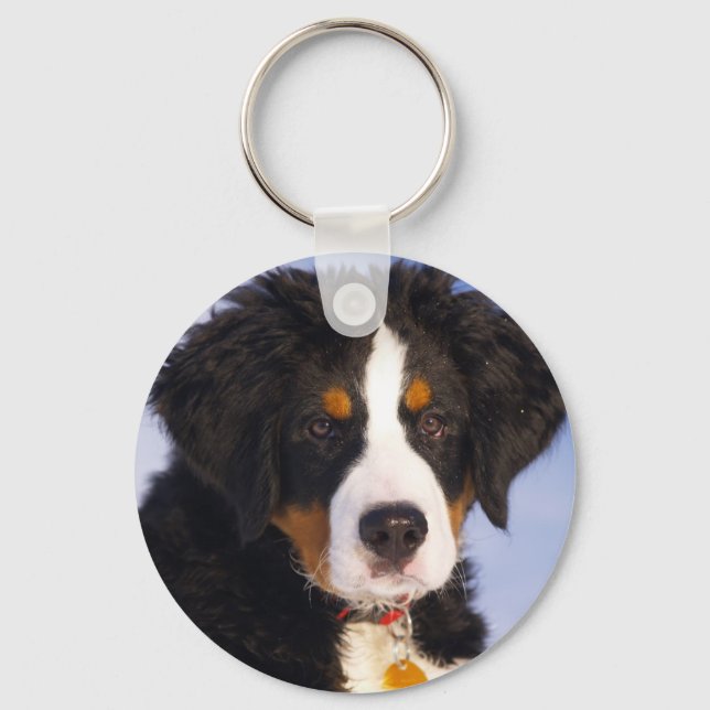 Cute Bernese Mountain Dog Puppy Picture Keychain (Front)