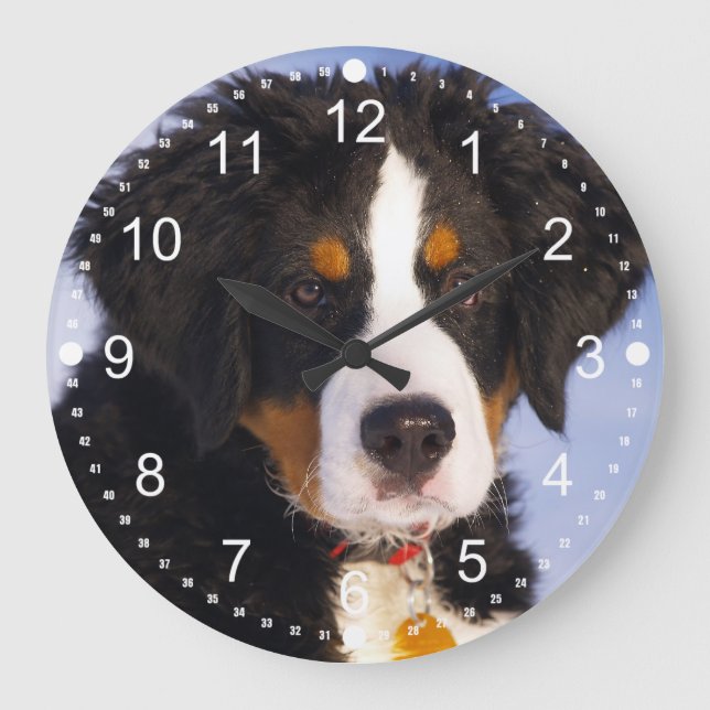 Cute Bernese Mountain Dog Puppy Picture Large Clock (Front)