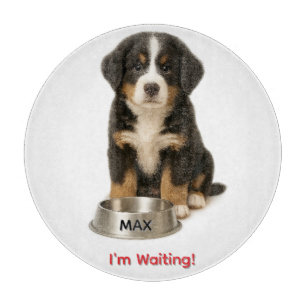 Cute Bernese Mountain Personalized Puppy Cutting Board