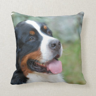 Cute Bernese Pillow