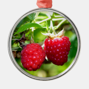 Cute berry photo Raspberries blackberries fruit Metal Ornament