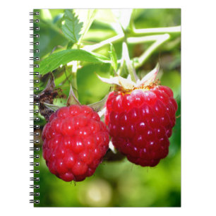 Cute berry photo Raspberries blackberries fruit Notebook