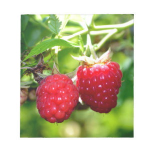 Cute berry photo Raspberries blackberries fruit Notepad