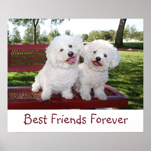 Bff Posters, Prints & Poster Printing | Zazzle CA