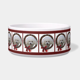 Cute Bichon Christmas