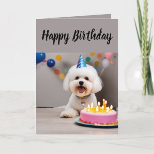 Cute Bichon Frisé  Birthday Card