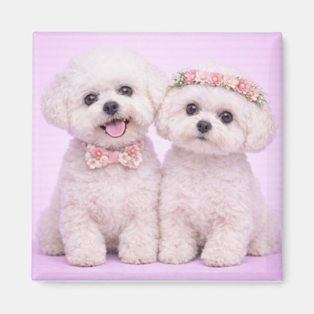 Cute Bichon Frise Couple Valentine Illustration Magnet (Front)