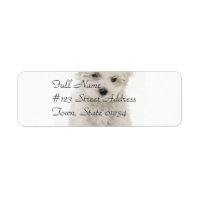 Cute Bichon Frise Étiquette