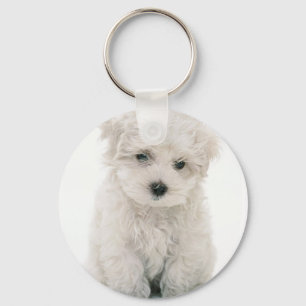 Cute Bichon Frise Keychain