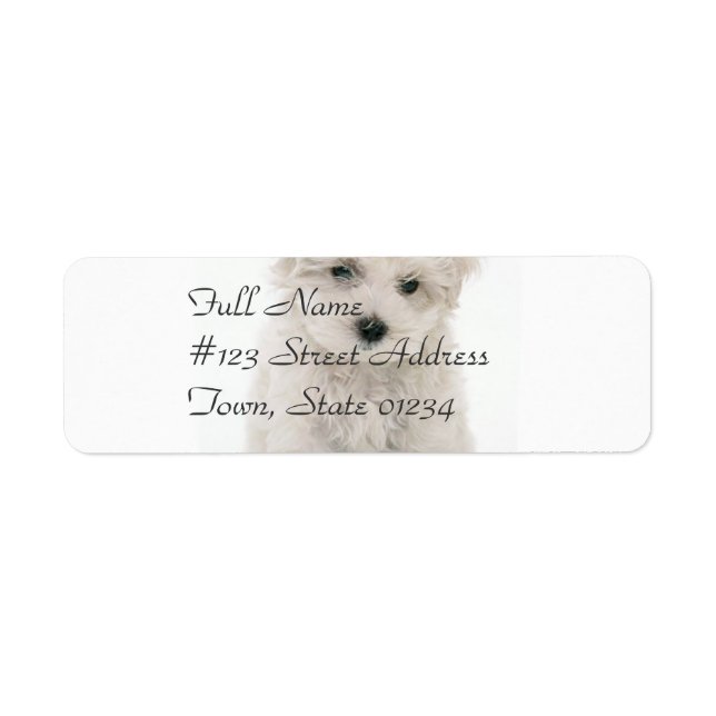 Cute Bichon Frise Mailing Label (Front)