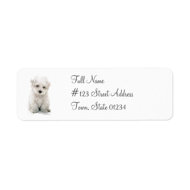 Cute Bichon Frise Retour Adresse Étiquette (Devant)