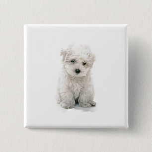 Cute Bichon Frise Square Pin