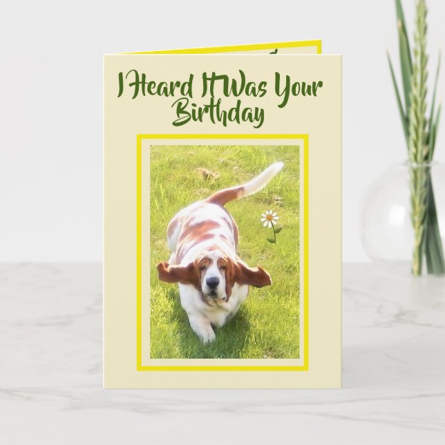 Cute "Big Ears" Advantage W/Basset Birthday Card (Front)