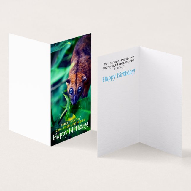 Cute Big Eyed Possum In Jungle Birthday Card (Inside and Outside)