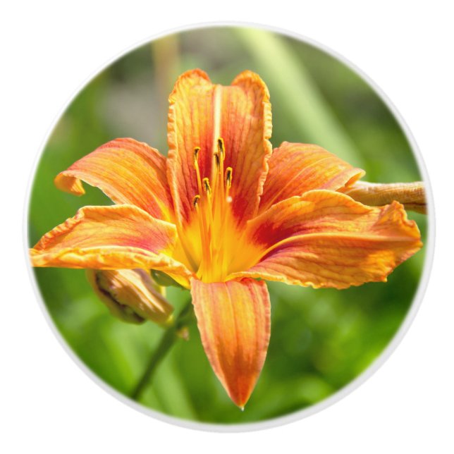 Cute big Lily flower photo Ceramic Knob (Front)