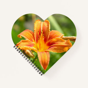 Cute big Lily flower photo Notebook