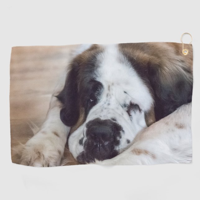Cute Big Saint Bernard dog Golf Towel (Horizontal)