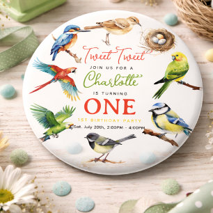 Cute Bird 1st Birthday Party 6 Inch Round Button