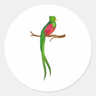 Cute bird Quetzal Classic Round Sticker