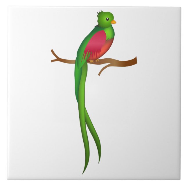 Cute bird Quetzal Tile (Front)