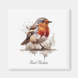 Cute bird red robin in watercolor magnet