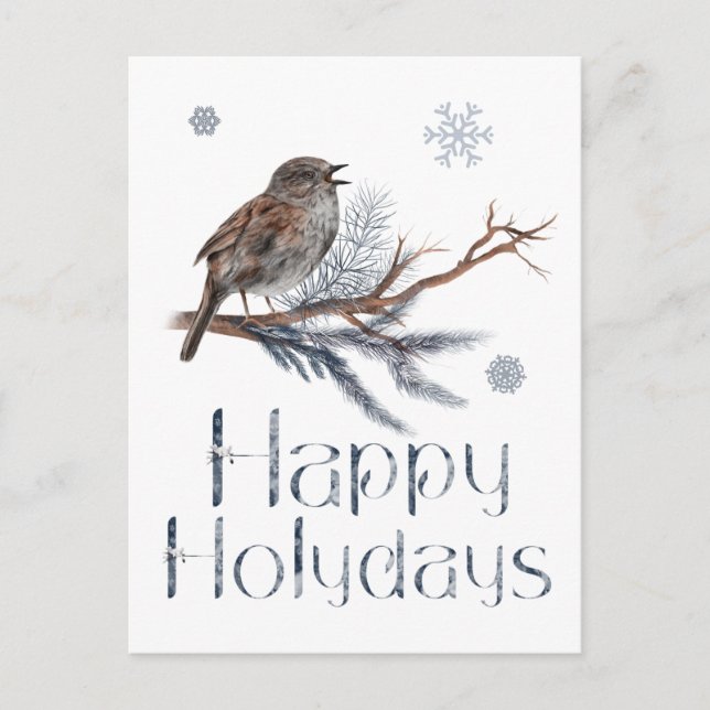 Cute Bird Sits On A Pine Branch And Sings Postcard (Front)