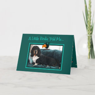 Cute Birthday Card w/Basset Hound and Birdie