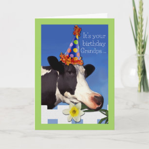 Cute Birthday for Grandpa with Funny Cow Card