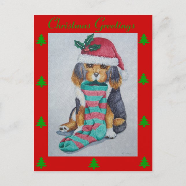 cute black and brown puppy at christmas holiday postcard (Front)