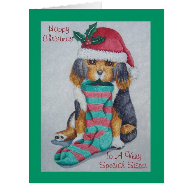 cute black and brown puppy with christmas stocking (Front)