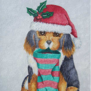 cute black and brown puppy with christmas stocking holiday card