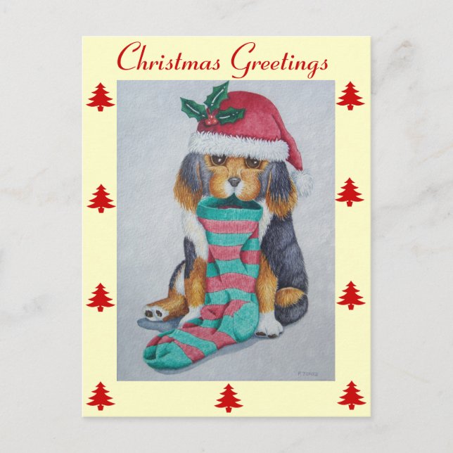cute black and brown puppy with christmas stocking holiday postcard (Front)