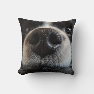 Cute Black and White Border Collie Nose Closeup Throw Pillow