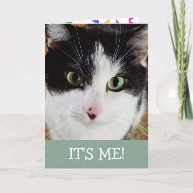 Cute Black And White Cat Birthday Card (Front)