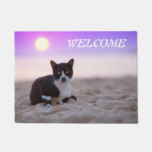 Cute Black and White Cat On The Beach With Sun Doormat