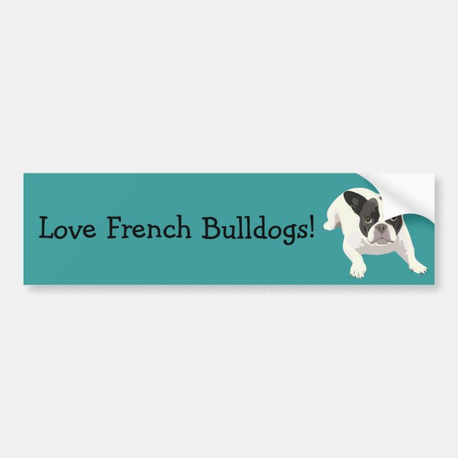 Cute Black and White French Bulldog on Blue Back Bumper Sticker (Front)