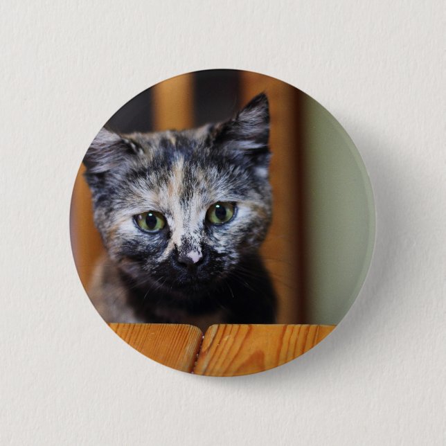 Cute Black and White Kitten 2 Inch Round Button (Front)