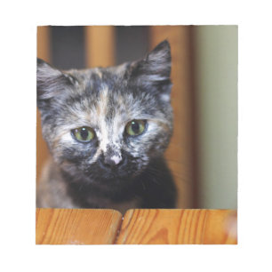 Cute Black and White Kitten Notepad
