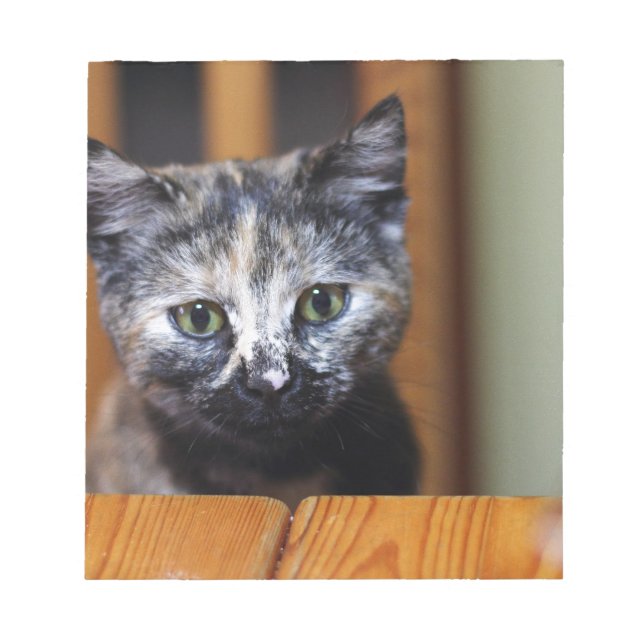 Cute Black and White Kitten Notepad (Front)