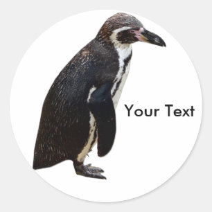 Cute Black and White Penguin Sticker Name Tag
