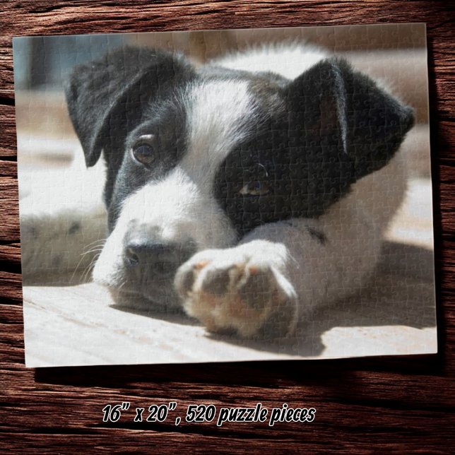 Cute Black and White Puppy Close-Up Photograph Jigsaw Puzzle (Cute puppy jigsaw puzzle)